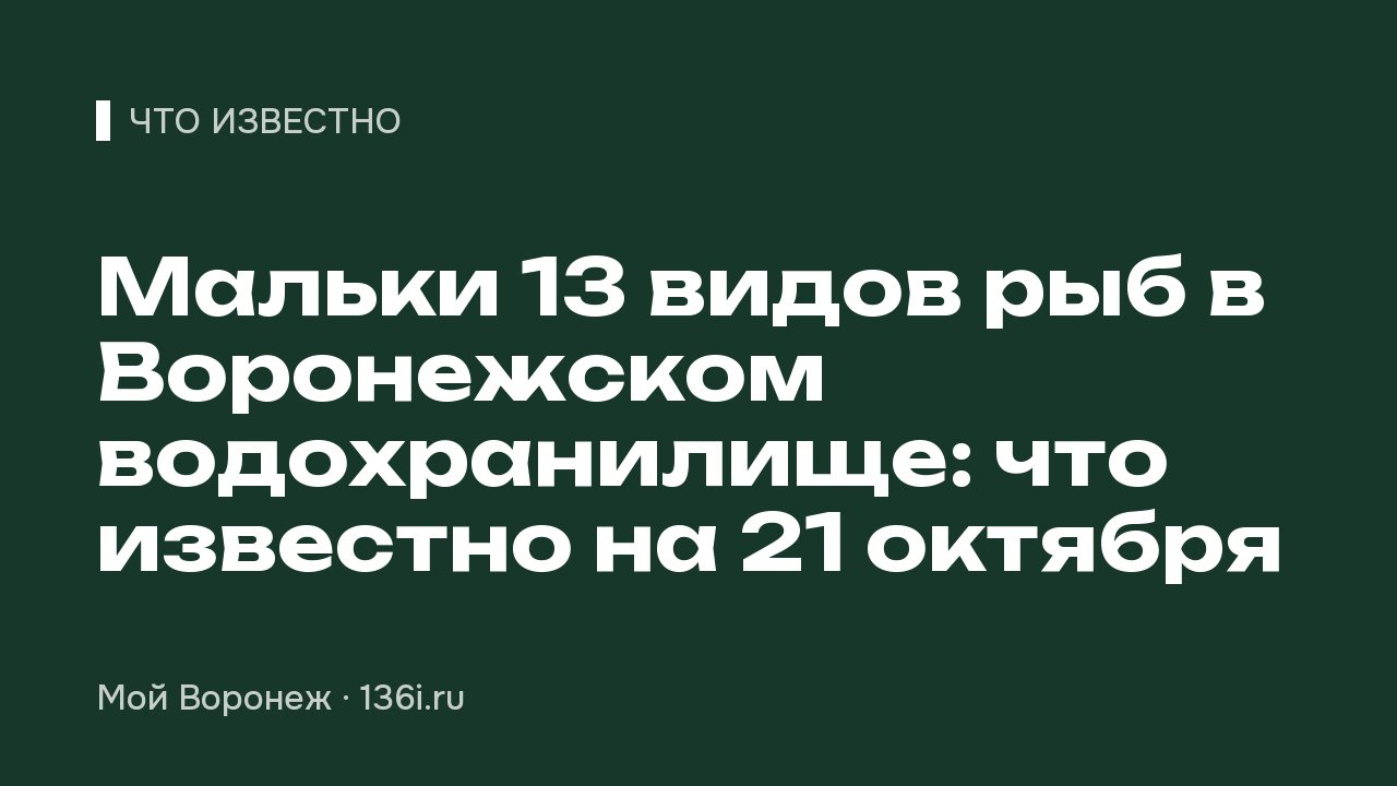 Мальки 13 видов рыб в Воронежском водохранилище: что известно на 21 октября