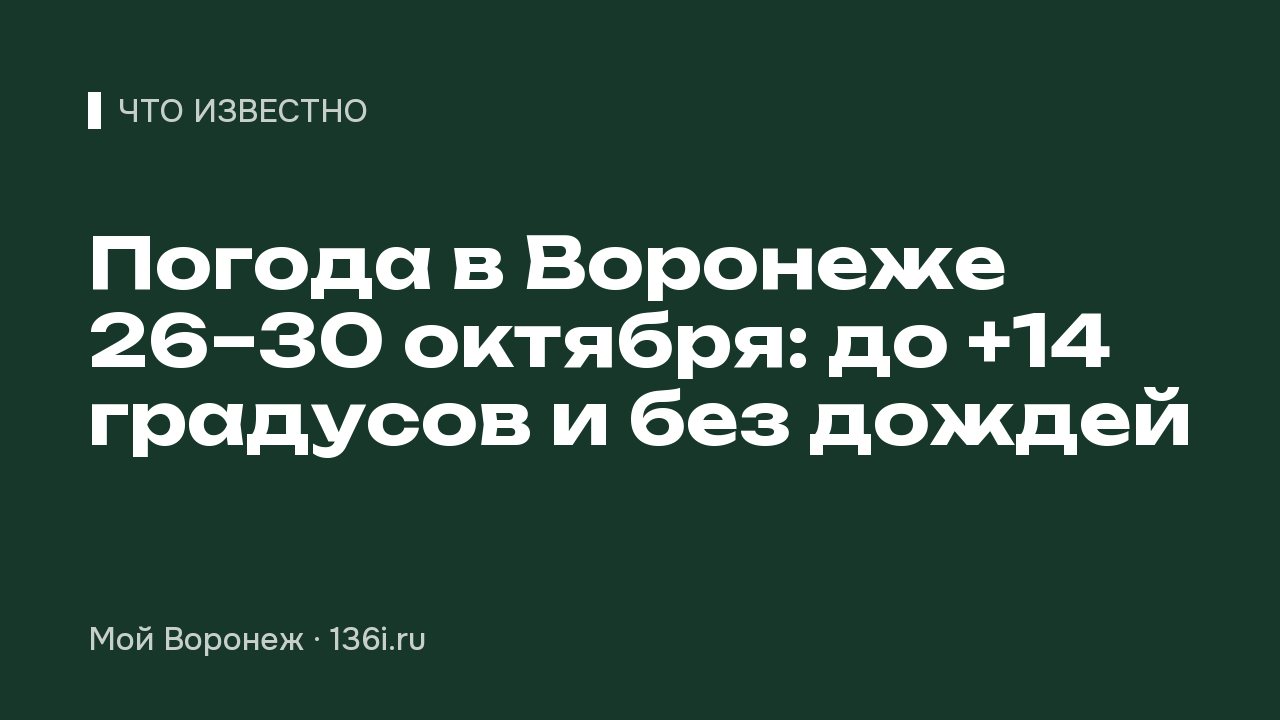 Погода в Воронеже 26–30 октября: до +14 градусов и без дождей