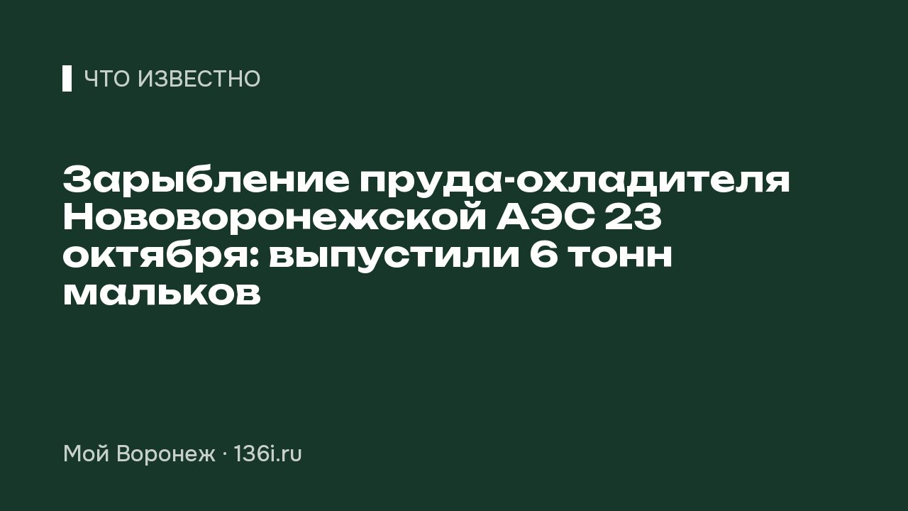 Зарыбление пруда-охладителя Нововоронежской АЭС 23 октября: выпустили 6 тонн мальков