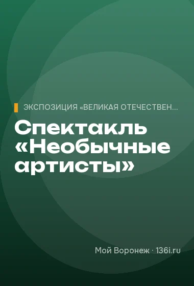 Спектакль «Необычные артисты»